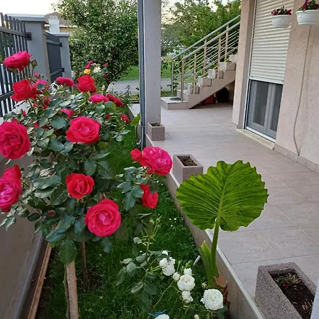 Entire House Floor - 2-bedroom Cozy & Peaceful Apartment