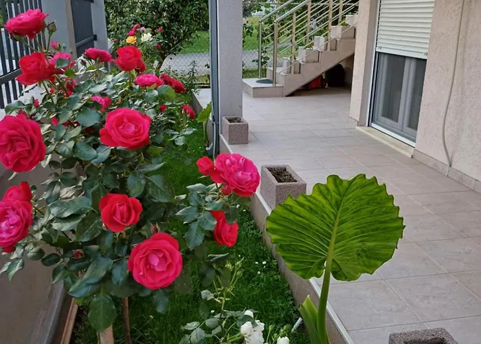 Entire House Floor - 2-bedroom Cozy & Peaceful Daire